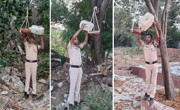 तमिलनाडु राज्य के ब्लॉक चेन्नई में भीषण गर्मी को देखते हुए डेरा श्रद्धालु ने बांधे परिण्डे