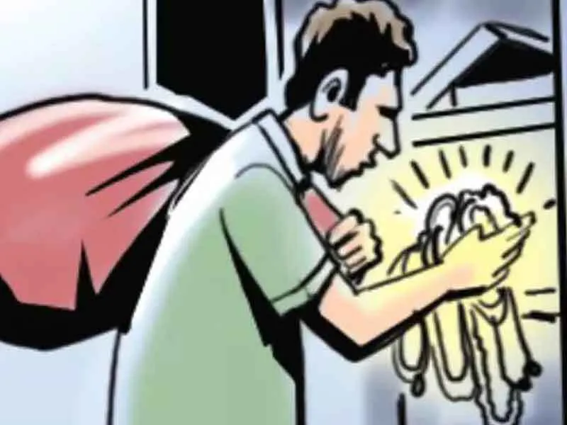 परिवार सोया रहा, घर से लाखों के गहनों पर हाथ साफ कर गए चोर