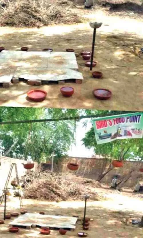 साध-संगत ने पक्षियों के लिए लगाए पानी के सकोरे