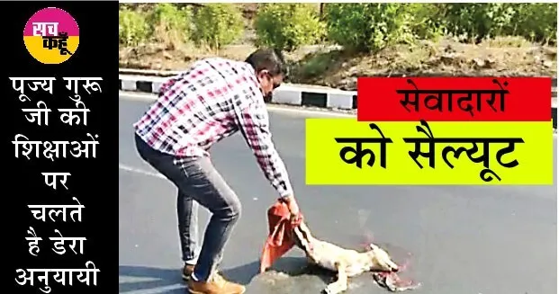 इंसानियत: मृत कुत्ते को हटाया बीच रास्ते से