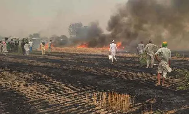 मलड़ी में गेहूं की फसल में लगी आग, 5 एकड़ फसल व 7 एकड़ भूसा जलकर राख