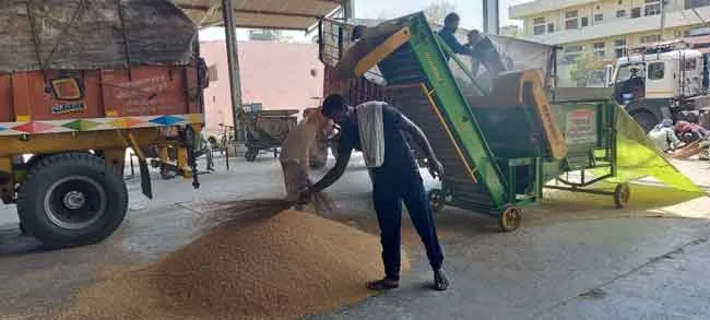 Wheat sachkahoon