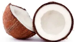 Coconut