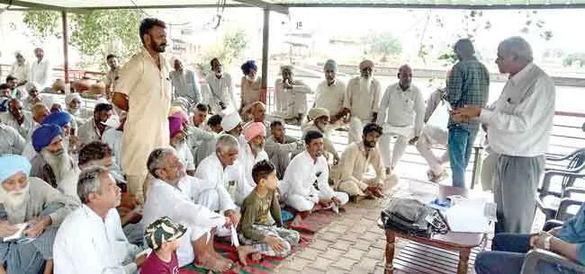 ग्वार में बढ़ता जड़गलन रोग चिंता का विषय: डॉ. यादव