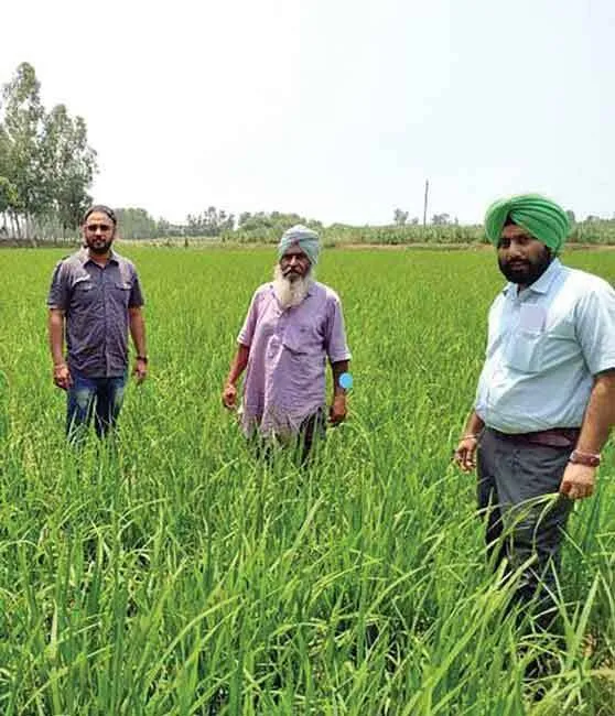 सीधी बिजाई कर प्रेरणादायक बना किसान बूटा सिंह