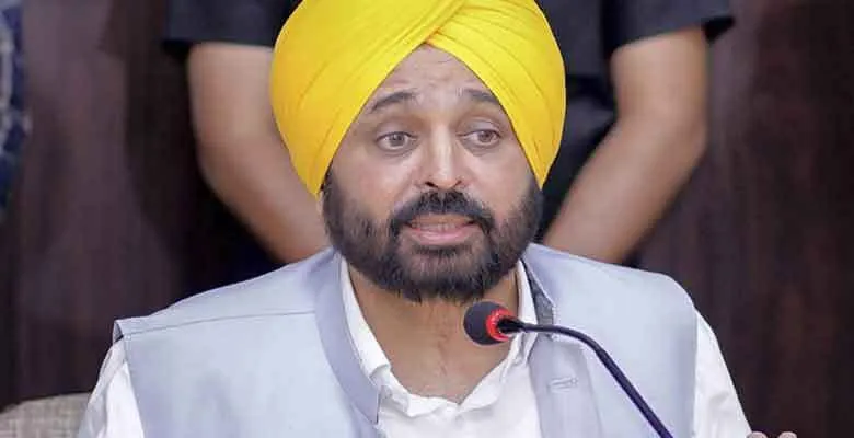 पंजाब के इतिहास में पहली बार धान की जगह मूंग बोयी जा रही