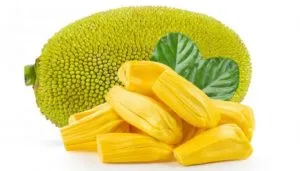 Jackfruit