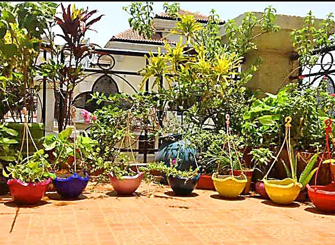 ‘धान की खेती छोड़ अन्य फसलें उगाएं, 7000 प्रति एकड़ पाएं’