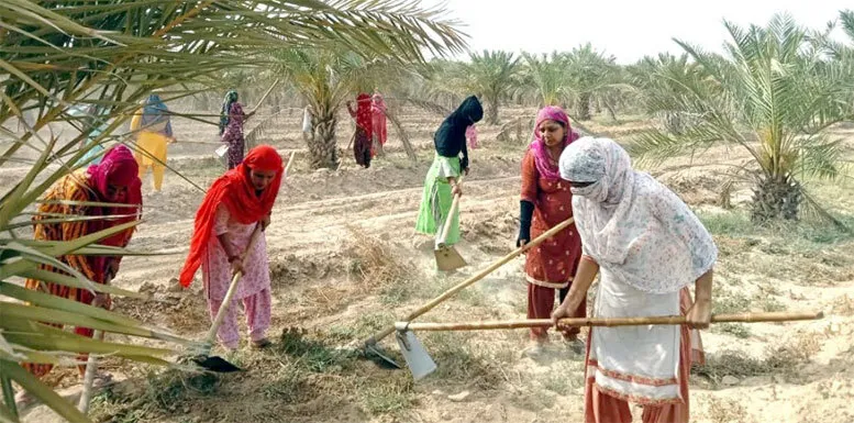 कोलायत दरबार में साध संगत ने की सेवा