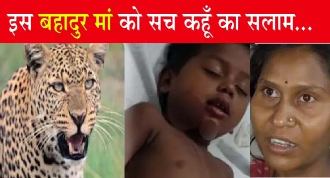 बहादुरी: बच्ची को मुंह में दबाकर ले जा रहा था तेंदुआ, मां ने ऐसे बचाई जान