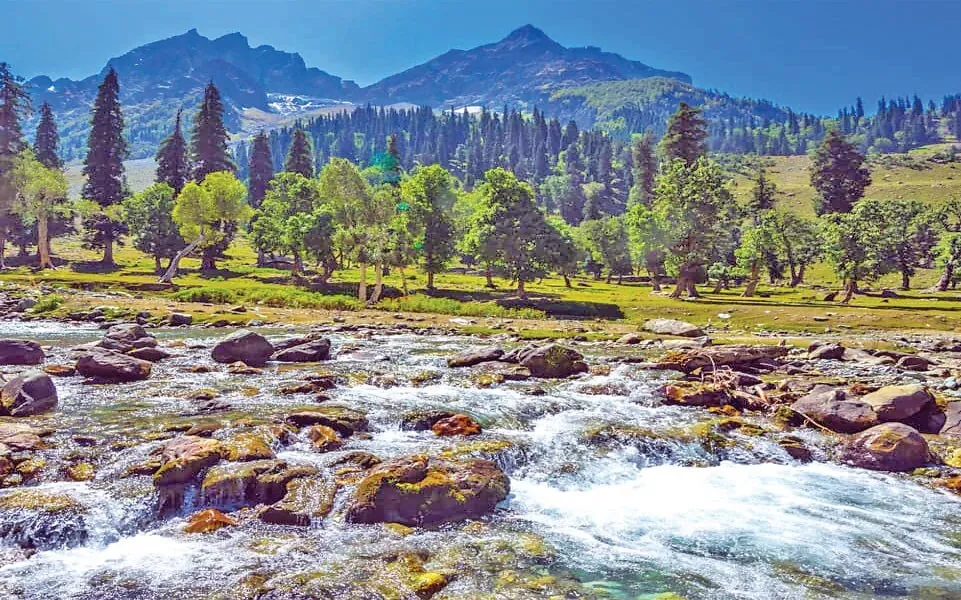 बच्चों की पसंदीदा जगह मनाली की सुंदर पहाड़ियां