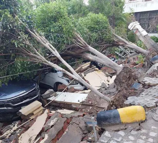 पार्श्वनाथ ग्रीन सोसायटी की दीवार व पेड़ गिरे, चार गाड़ियां क्षतिग्रस्त