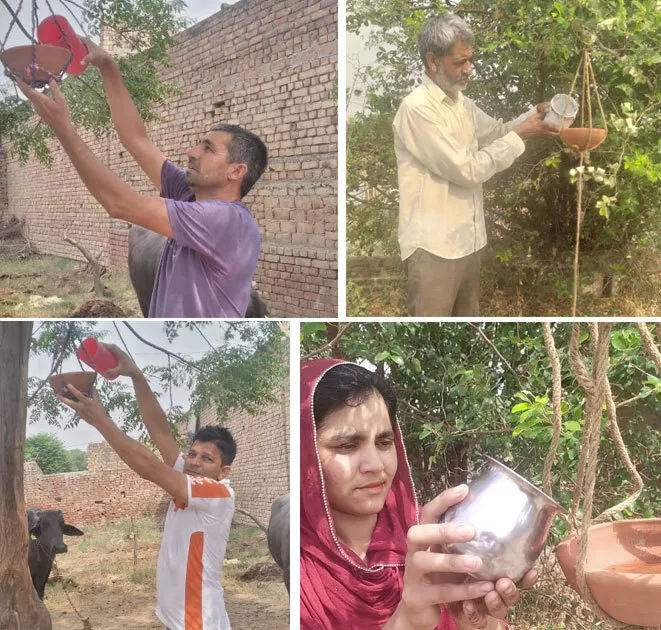 धमतान साहिब की साध-संगत ने बेजुबान पक्षियों के लिए लगाए पानी के सकोरे