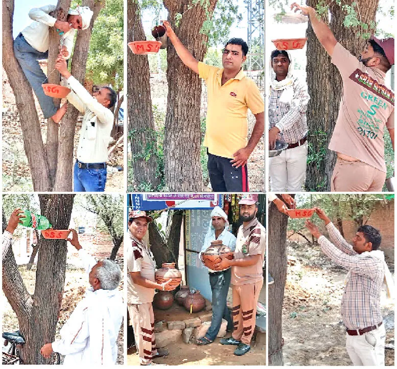 भीषण गर्मी में बेजुबान पक्षियों की मदद को आगे आई बिहार और राजस्थान की साध-संगत
