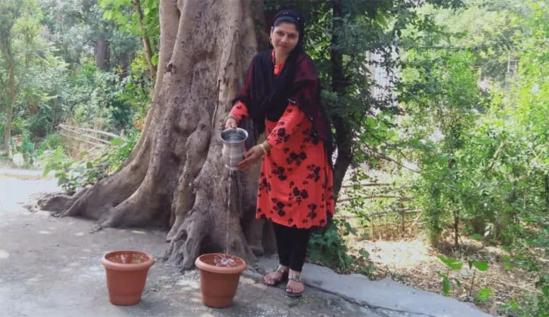 सुजानपुर की साध-संगत ने पक्षियों के लिए छतों पर किया दाना-पानी का प्रबंध