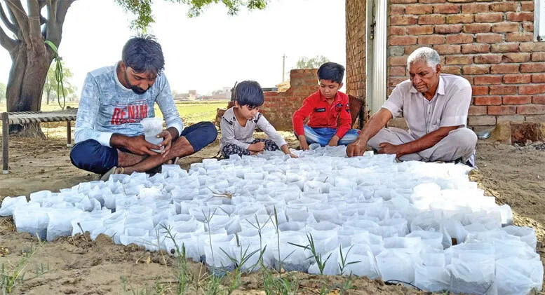 आसमान से बरस रही आग से फसल बचाने में जुटे किसान, अपना रहे देसी तरीका