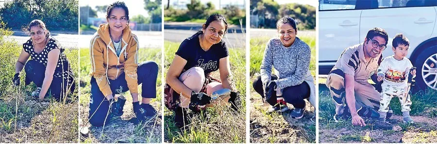 सराहनीय: ऑस्ट्रेलिया की साध-संगत ने लगाए 2 हजार से अधिक पौधे