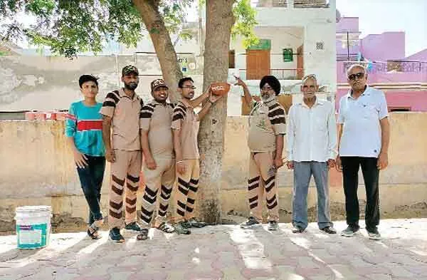 राजस्थान की साध-संगत ने लगाए परिण्डे