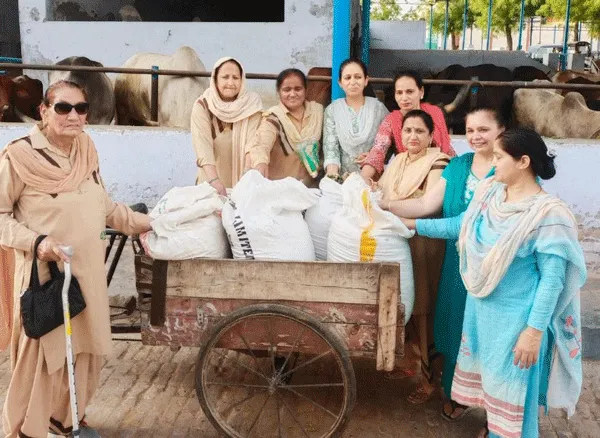 Welfare Work