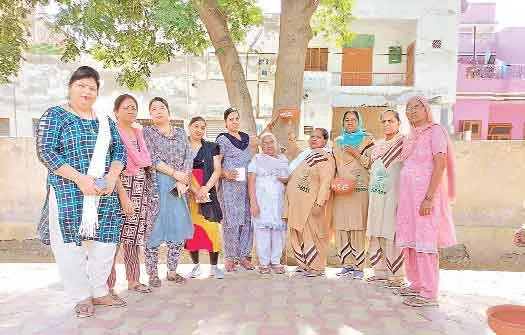 Welfare Work
