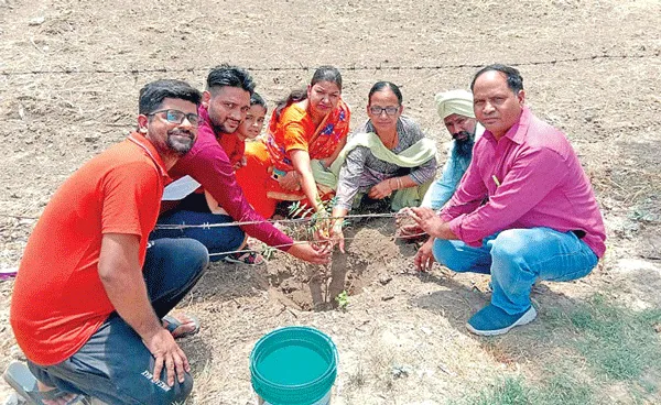 Welfare Work