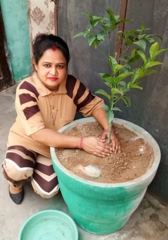 पक्षियों को चौगा पानी रख व पौधारोपण कर मनाया जन्मदिन