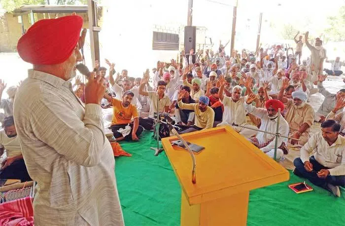 सच-कहूँ की वर्षगांठ पर लक्कड़ांवाली में हुई नामचर्चा