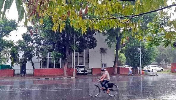 हरियाणा, पंजाब के कई क्षेत्रों में झमाझम बारिश, गर्मी से मिली राहत