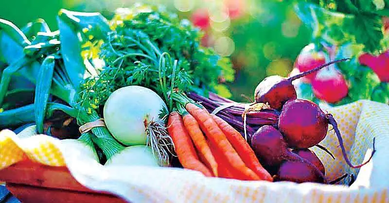 किचन गार्डन अपनाएं, ताजा सब्जियां खाएं