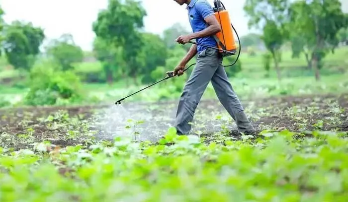 कीटनाशकों पर जीएसटी कम कर 5 प्रतिशत करने की मांग