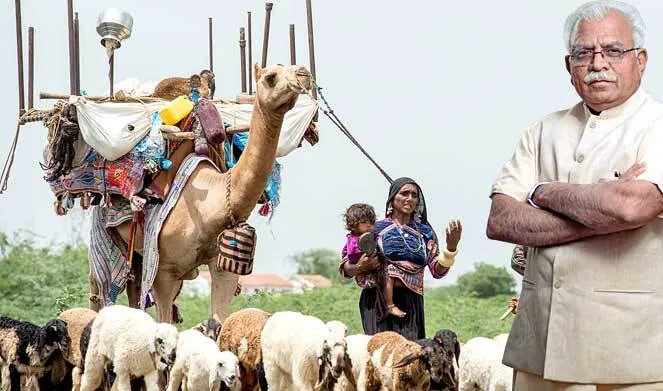 20 साल से जमीन पर काबिज घुमंतू जाति के लोगों को देंगे मालिकाना हक : मुख्यमंत्री