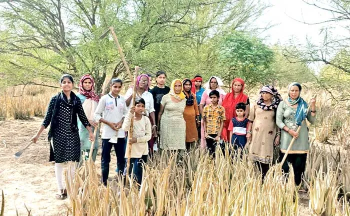 Welfare Work 