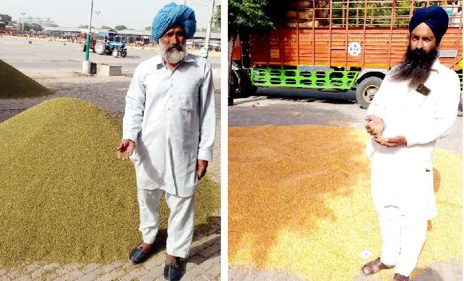 मंडियों में रुल रही मूंगी और मक्की को लेकर किसान-परेशान