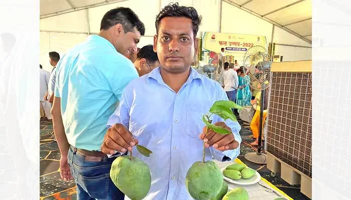 देश के सबसे अच्छी किस्म के आम तैयार कर रहा सब ट्रॉपिकल फ्रूट सेंटर