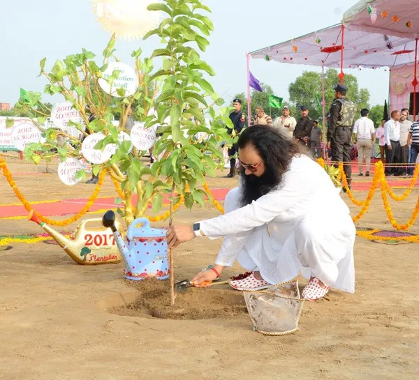Mega Tree Plantation, Gurmeet Ram Rahim, Dera Sacha Sauda, Environment