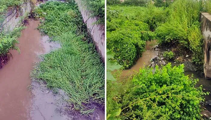 नारायणगढ़ में तेज बरसात ने खोली नपा की पोल