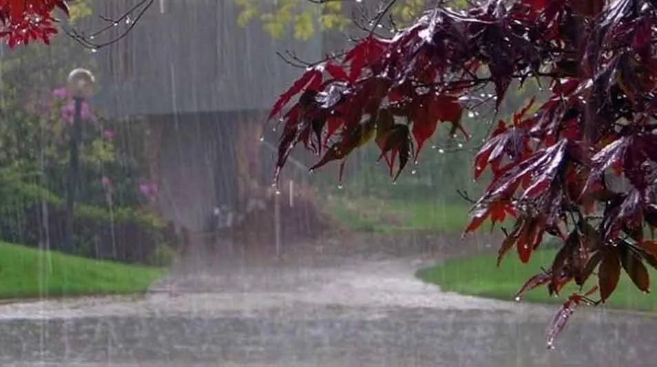पश्चिमोत्तर में 12 जून तक लू व भीषण गर्मी से राहत के आसार