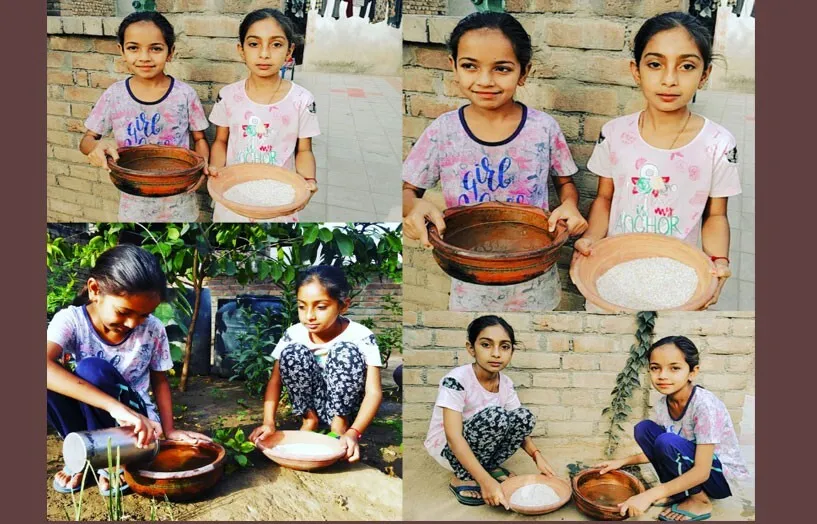 डेरा सच्चा सौदा से जुड़े नन्हे-मुन्ने भी भलाई कार्यों में आगे, पक्षियों के लिए किया दाना-पानी का प्रबंध