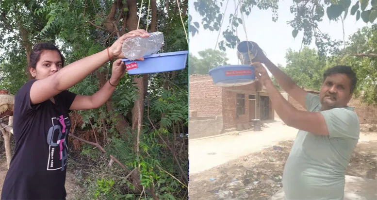 कनीना के सेवादारों ने पक्षियों के लिए रखे दाना-पानी के सकोरे
