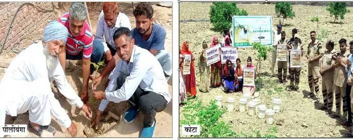 डेरा सच्चा सौदा सेवादारों ने किया पौधरोपण