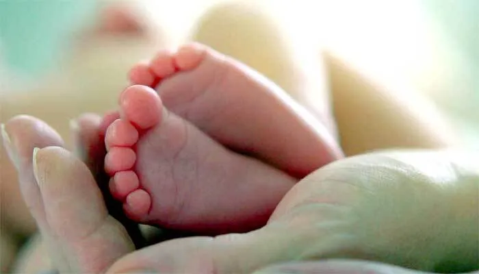 अस्पताल से उठाकर आवारा कुत्ते ने छीन ली नवजात की जिंदगी