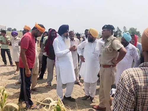 15 एकड़ में धान की खड़ी फसल बर्बाद