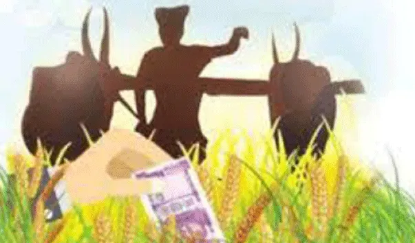 फसलों का बीमा 31 जुलाई तक