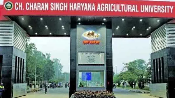 एचएयू में 31 जुलाई को 7 परीक्षा केन्द्रों पर होगी प्रवेश परीक्षा