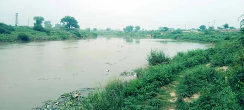 पहाड़ों में हुई बारिश से घग्घर नदी में आया पानी
