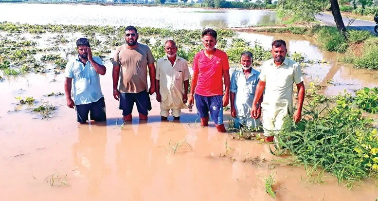 बारिश से फसलें हुई तबाह, किसानों ने प्रशासन के खिलाफ निकाली भड़ास