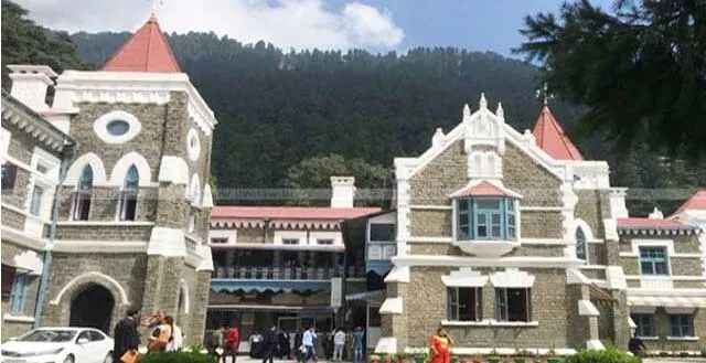 आवारा कुत्तों ने बढ़ाई सरकार की परेशानी, हाईकोर्ट ने मांगी विस्तृत रिपोर्ट