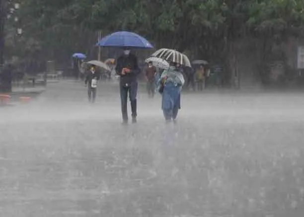 मानसून की बरसात से मिली राहत किसानों के चेहरे खिले