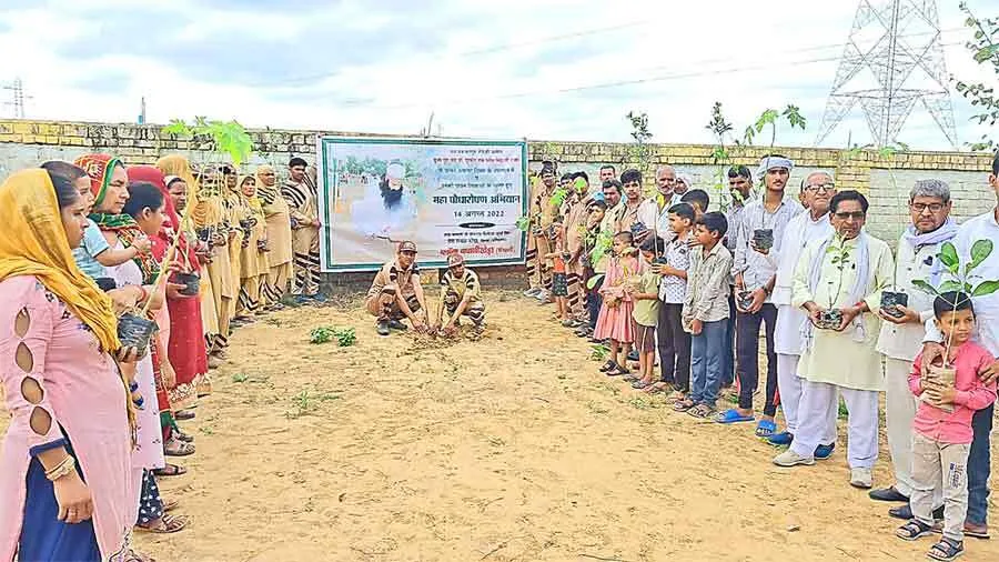 बवानीखेड़ा की साध-संगत ने अवतार दिवस की खुशी में किया पौधारोपण