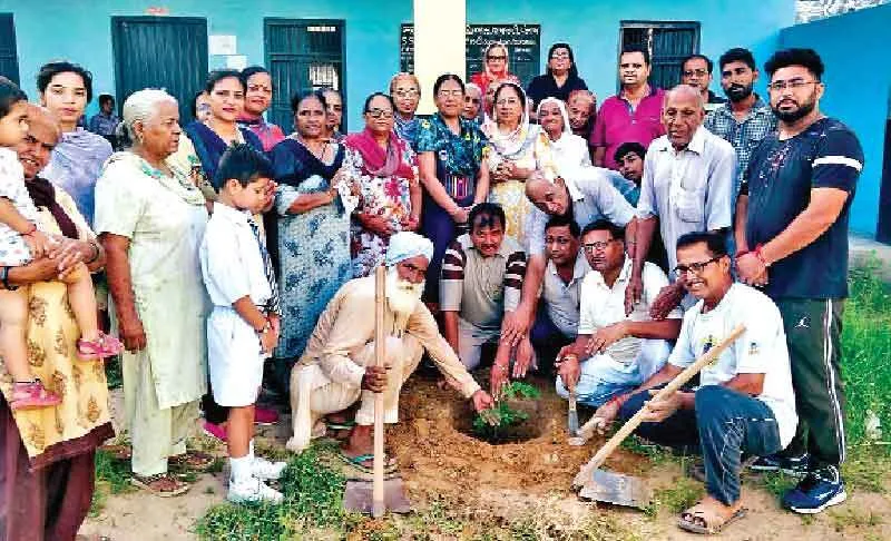 सराहनीय। बुढ़लाडा की साध-संगत ने स्कूल में लगाए पेड़-पौधों को संभाला